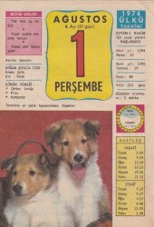 1 Ağustos 1974 Takvim Yaprağı -Doğum Günü Hediyesi EFM(N)6313 - Gökçekoleksiyon