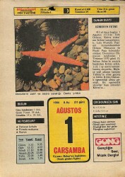 1 Ağustos 1984 Takvim Yaprağı - Doğum Günü Hediyesi EFM(N)9586 - Gökçekoleksiyon