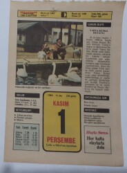 1 Kasım 1984 Takvim Yaprağı - Doğum Günü Hediyesi EFM(N)7006 - Gökçekoleksiyon