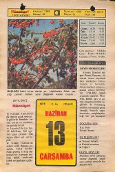13 Haziran 1979 Takvim Yaprağı - Doğum Günü Hediyesi EFMN14459 - Gökçekoleksiyon