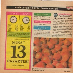 13 Şubat 1984 Takvim Yaprağı EFM(N)5167 - Gökçekoleksiyon