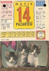 14 Mayıs 1973 Takvim Yaprağı - Doğum Günü Hediyesi EFM(N)9339 - Gökçekoleksiyon