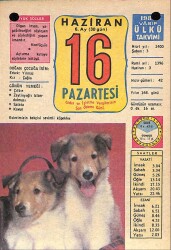 16 Haziran 1980 Takvim Yaprağı - Doğum Günü Hediyesi EFM(N)9133 - Gökçekoleksiyon