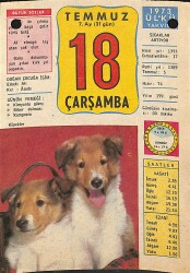 18 Temmuz 1973 Takvim Yaprağı - Doğum Günü Hediyesi EFM(N)11915 - Gökçekoleksiyon