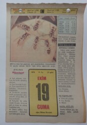 19 Ekim 1979 Takvim Yaprağı - Doğum Günü Hediyesi EFM(N)7369 - Gökçekoleksiyon