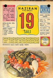 19 Haziran 1979 Takvim Yaprağı - Doğum Günü Hediyesi EFM(N)11720 - Gökçekoleksiyon