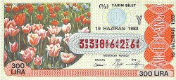 19 Haziran 1983 Piyango Bileti Yarım Bilet PYB6453 - Gökçekoleksiyon