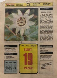 19 Şubat 1984 Takvim Yaprağı - Doğum Günü Hediyesi EFM(N)7794 - Gökçekoleksiyon