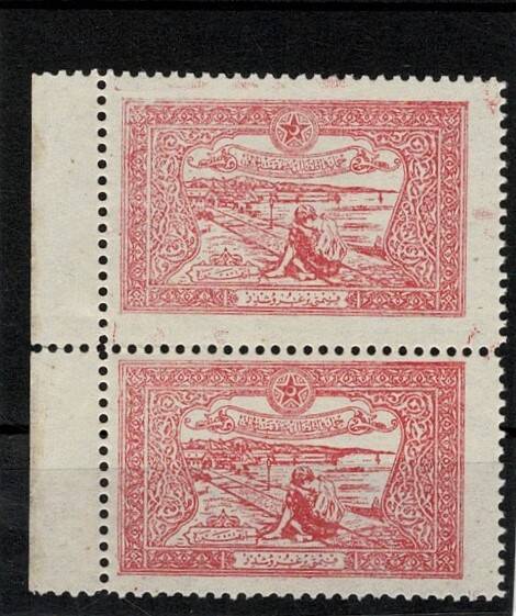 1923 Türkiye Himaye-i Etfal Ceimyeti Yardım Pulu 2'li Blok PPT2678 - 1