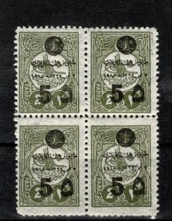1919 Sultan Vahdeddin Cülusu Hatıra Pulu 4'lü Blok ÇİL PPT2680 - Gökçekoleksiyon
