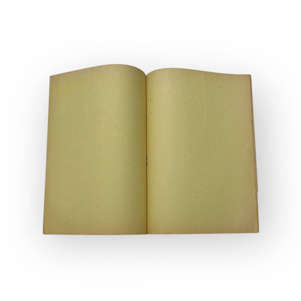 1970s Rumeli Hisarı Görselli Lise Defteri Çizgisiz 20 Yapraklı#AOB6048 - 3