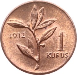 1972 Yılı 1 Kuruş - ÇİL TCM3258 - 3
