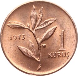 1973 Yılı 1 Kuruş - ÇİL TCM3259 - Gökçekoleksiyon