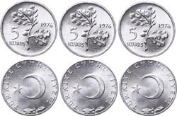 1976 Yılı 5 Kuruş Lot (3 Adet) - ÇİL TCM3129 - Gökçekoleksiyon