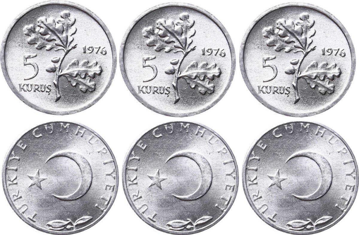1976 Yılı 5 Kuruş Lot (3 Adet) - ÇİL TCM3129 - 1