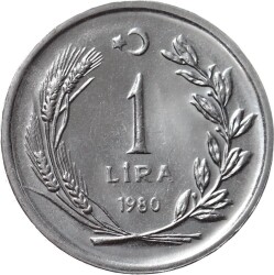 1980 Yılı 1 Lira (Ters) - ÇİL TCM3278 - Gökçekoleksiyon