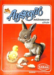 1980's Ayşegül Kitapları Serisi Ayşegül Beklenmeyen Civ Civ NDR101665 - Gökçekoleksiyon