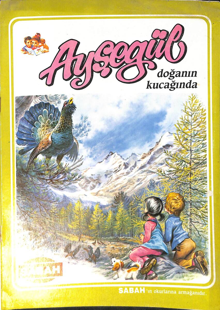 1980's Ayşegül Kitapları Serisi Ayşegül Doğanın Kucağında NDR100049 - 4