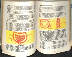 1980's İlkokul 3.Sınıf Üniteler Ansiklopedisi NDR100000 - 2