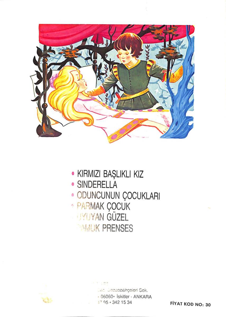 1980's Klasik Dizi 1 - Uyuyan Güzel NDR100057 - 3