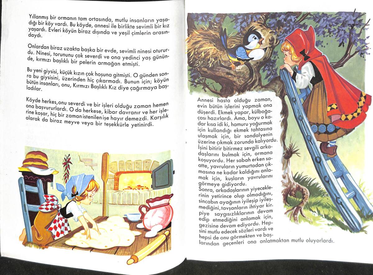 1980's Klasik Dizi 2 - Kırmızı Başlıklı Kız NDR100058 - 2