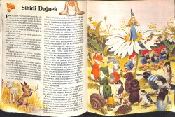 1980's Ormandaki Dostlarımız Sihirli Değnek NDR102506 - 2