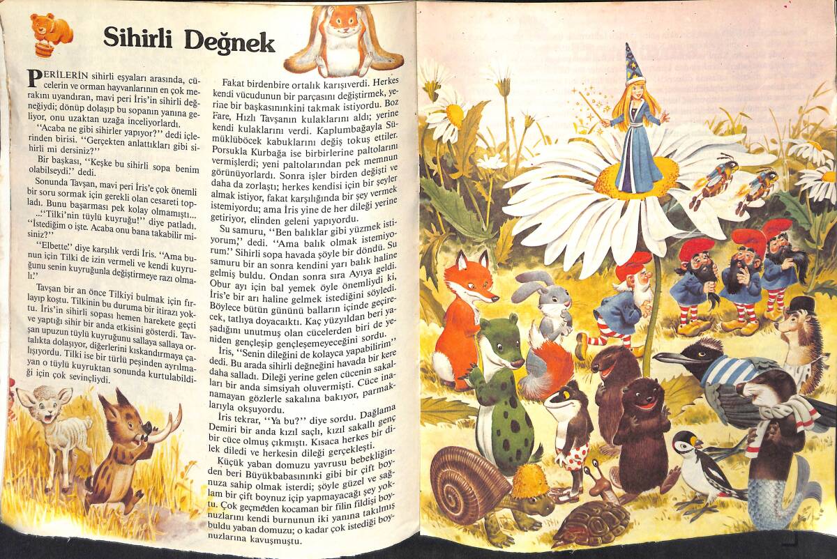1980's Ormandaki Dostlarımız Sihirli Değnek NDR102506 - 2