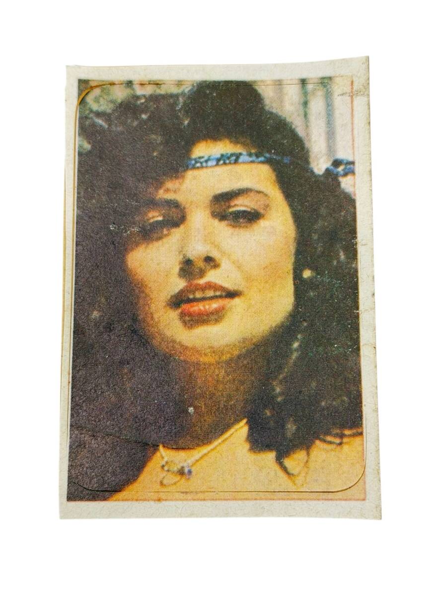 1980's Türk Sinema Sanatçısı Sticker Çıkartma AKS2038 - 1