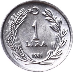1981 Yılı 1 Lira - ÇİL TCM3143 - 3