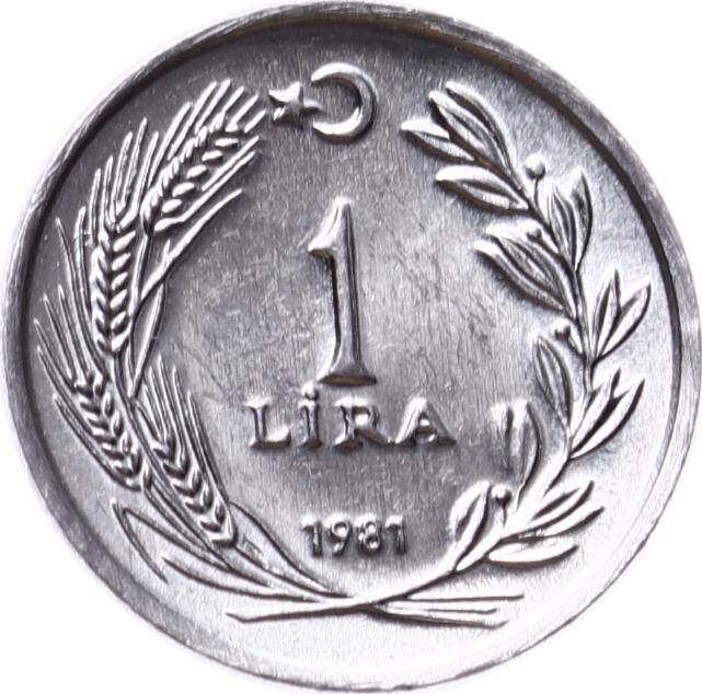 1981 Yılı 1 Lira - ÇİL TCM3143 - 3