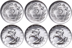 1981 Yılı 5 Lira Lot (3 Adet) - ÇİL TCM3131 - Gökçekoleksiyon