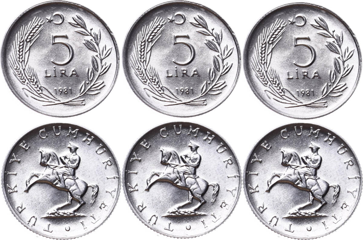 1981 Yılı 5 Lira Lot (3 Adet) - ÇİL TCM3131 - 1