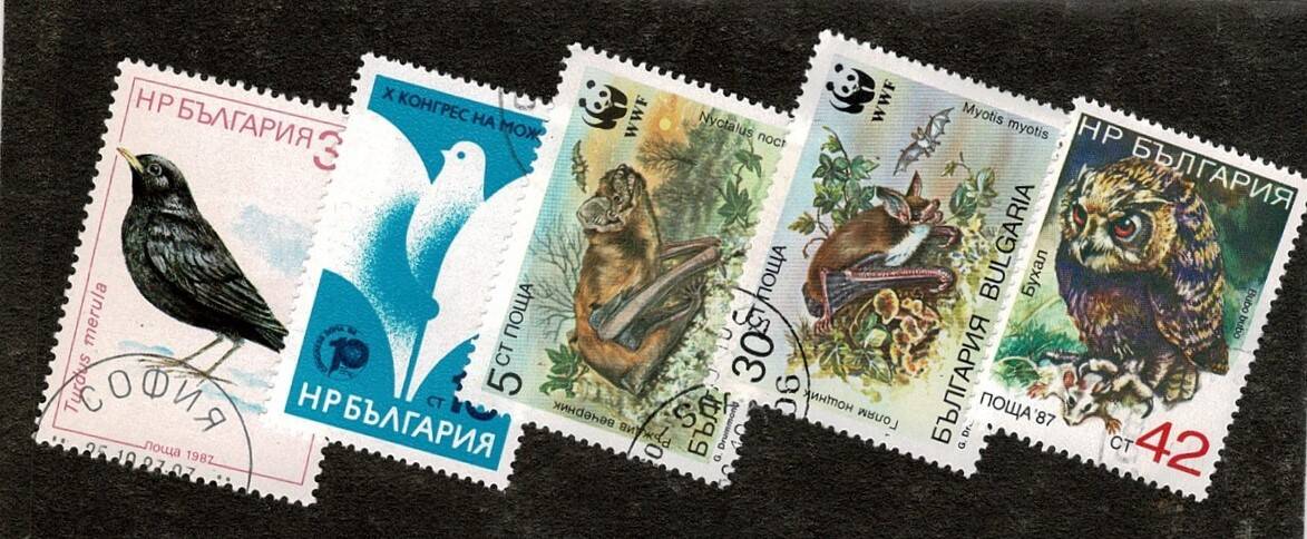 1982-1987 Bulgaristan WWF Yarasa Türleri ve Baykuş/Kuş Fauna Temalı Damgalı Karma Pul Lotu - Özel Kartelasında PPT3303 - 1