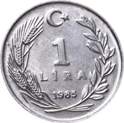 1985 Yılı 1 Lira - ÇİL TCM3145 - Gökçekoleksiyon