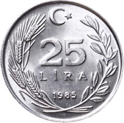 1985 Yılı 25 Lira - ÇİL TCM3140 - Gökçekoleksiyon