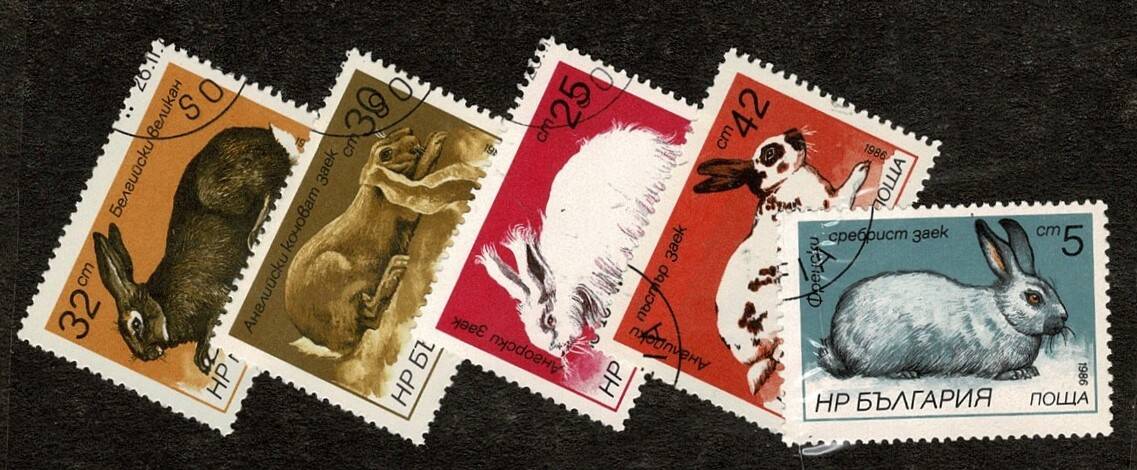 1986 Yılı Bulgaristan Tavşan Cinsleri ve Fauna Temalı Damgalı Pul Lotu - Özel Kartelasında PPT3320 - 1