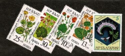 1987-1988 Yılları Bulgaristan Çiçekler ve Bitkiler Temalı Damgalı Pul Lotu - Özel Kartelasında PPT3278 - 