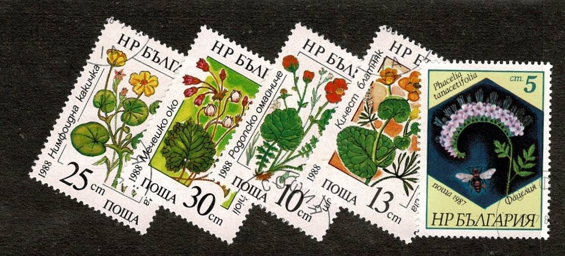 1987-1988 Yılları Bulgaristan Çiçekler ve Bitkiler Temalı Damgalı Pul Lotu - Özel Kartelasında PPT3278 - 1