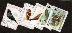 1987-1989 Yılları Bulgaristan Kuşlar ve WWF Yarasalar Temalı Damgalı Pul Lotu - Özel Kartelasında PPT3277 - 