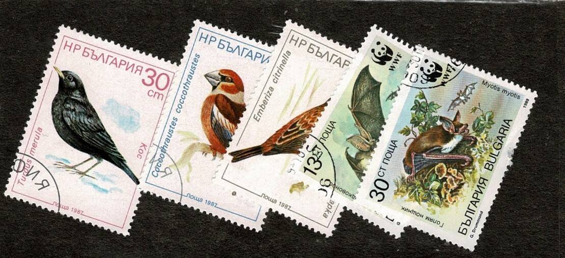 1987-1989 Yılları Bulgaristan Kuşlar ve WWF Yarasalar Temalı Damgalı Pul Lotu - Özel Kartelasında PPT3277 - 1