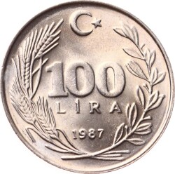 1987 Yılı 100 Lira - ÇİL TCM3155 - Gökçekoleksiyon