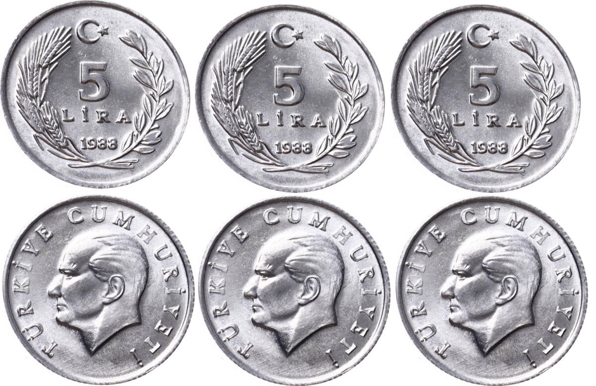 1988 Yılı 5 Lira Lot (3 Adet) - ÇİL TCM3133 - 1