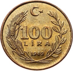 1989 Yılı 100 Lira ÇİL TCM2613 - 1