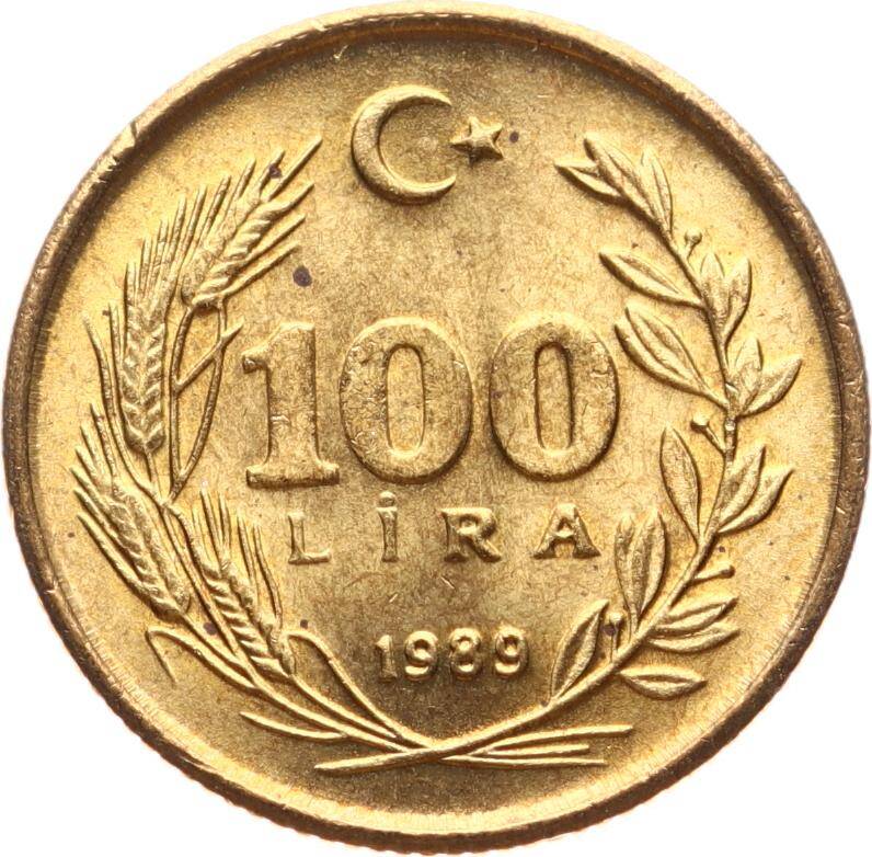 1989 Yılı 100 Lira - ÇİL TCM3170 - 1