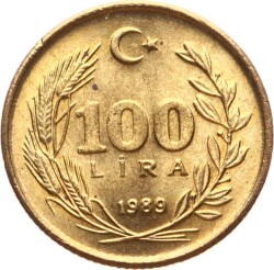 1989 Yılı 100 Lira - ÇİL TCM3170 - 3