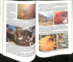 1990's 5.Sınıf Sosyal Bilgiler Ders Kitabı NDR99962 - 2