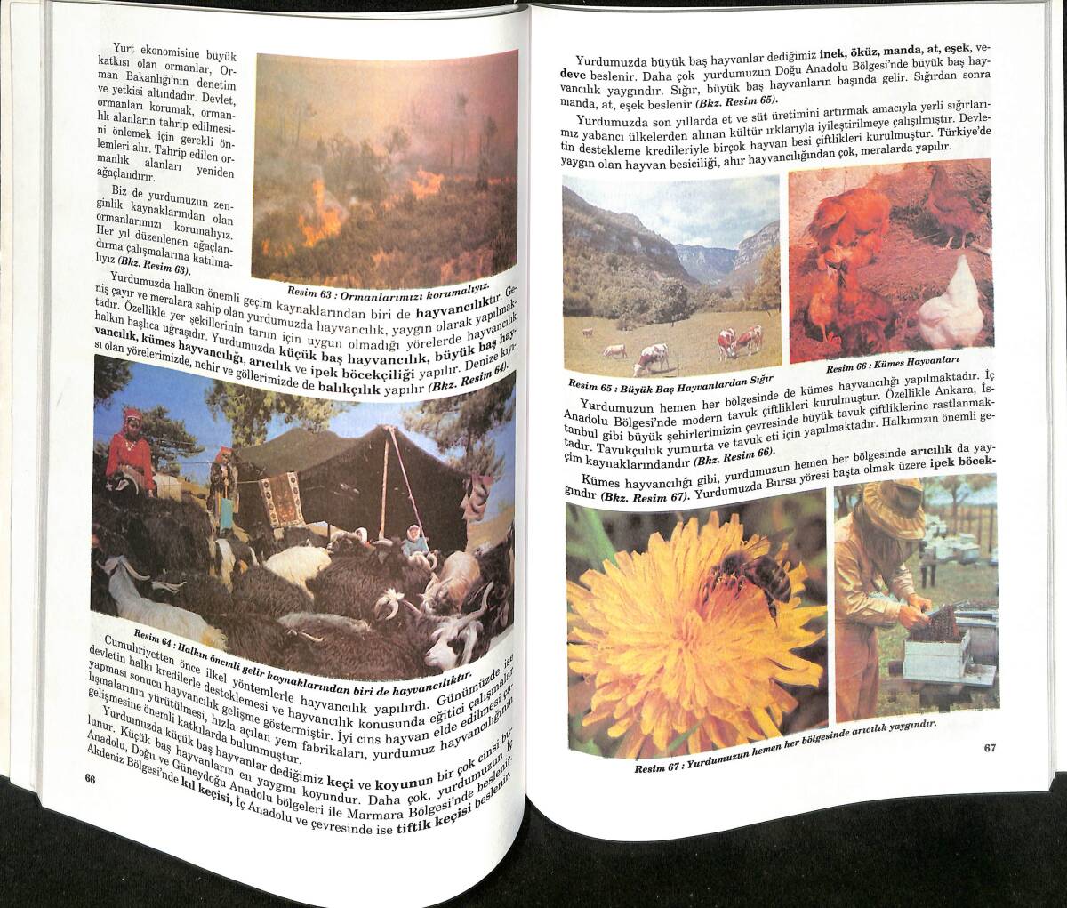 1990's 5.Sınıf Sosyal Bilgiler Ders Kitabı NDR99962 - 2