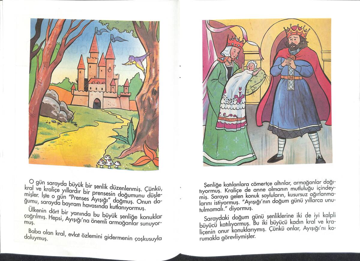 1990's Damla-Duygu Dizisi 2 Uyuyan Güzel NDR100094 - 2