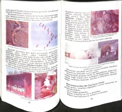 1990's İlköğretim 4.Sınıf Fen Bilgisi Ders Kitabı NDR99918 - 2