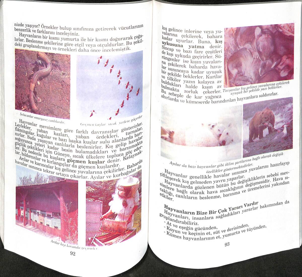 1990's İlköğretim 4.Sınıf Fen Bilgisi Ders Kitabı NDR99918 - 2